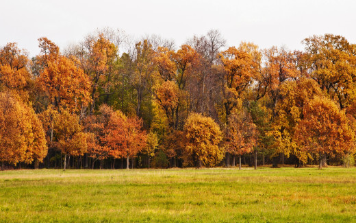 972661 (a): :2880x1800